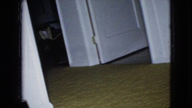 1965: Family Dog Playing in Home Wellsburg Iowa