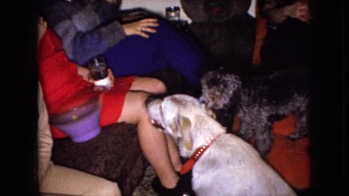 1965: feeding dogs treats for doing tricks at an intimate social get together