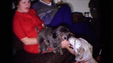 1965: indoor family scene dogs playing together pet dog WELLSBURG IOWA