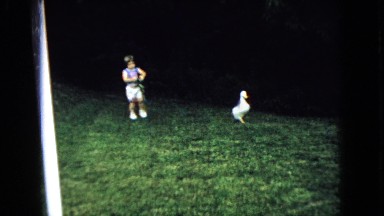 1965: a child and a duck in the field WELLSBURG IOWA