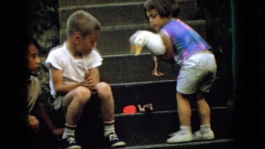 1965: small child carries live domestic duck to show friends. WELLSBURG IOWA