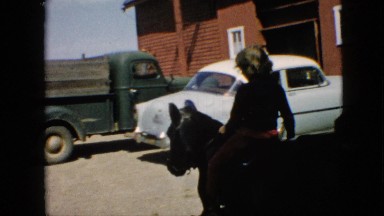 1957: small cute girl riding black horse cars parked house near tail enjoying