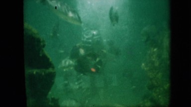 1958: diver in a fish tank with fish swimming about tank. PENNSYLVANIA