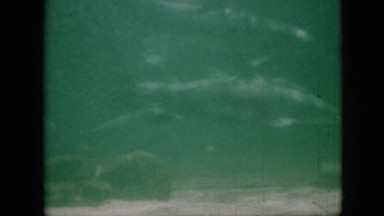 1958: sea world PENNSYLVANIA
