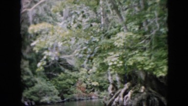1958: peaceful lake in jungle PENNSYLVANIA