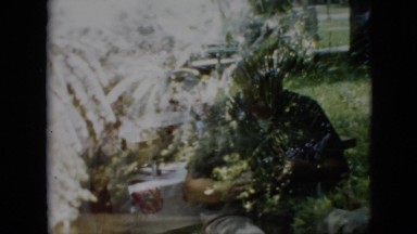 1958: family dinner outdoors PENNSYLVANIA