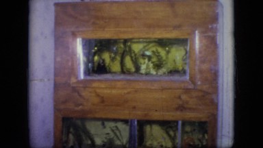 1964: view of several homemade aquariums built into the wall. PHILADELPHIA