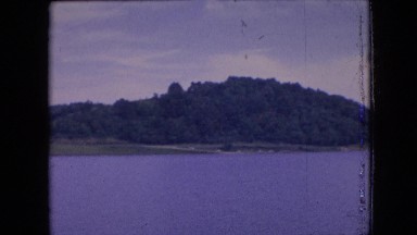 1964: man standing near the sea watching the flow trees on the bank
