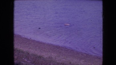 1964: people fishing by the lake. PHILADELPHIA PENNSYLVANIA