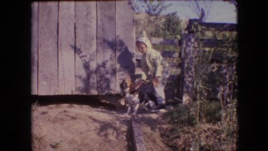 1964: a little boy and his dog outside of a shed with tree branches