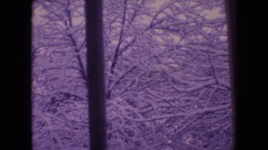 1964: barren winter foliage covered in thick layer of snow PHILADELPHIA