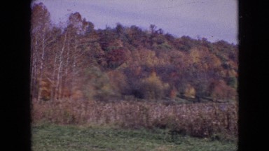 1964: fall trees and the lake PHILADELPHIA PENNSYLVANIA
