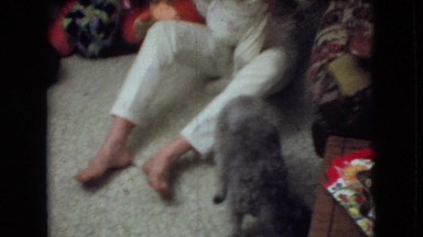 1966: children sitting siblings playing puppy roaming around cute baby waving