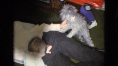1966: funny father, cute children, playful dog, and tall tower