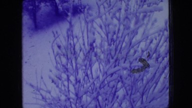 1966: winter embraced the flora of the mountain with snow fall NEW JERSEY