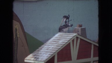 1966: a seal balances a bird on a stick in a show OHIO