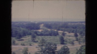 1966: vast land greenery trees around calm and serene environment