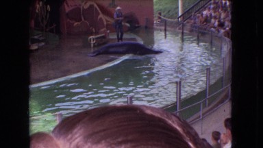 1966: A Performance at SeaWorld, Ohio