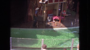 1966: seaworld tricks with a row of penguins lining up at their trainer's feet