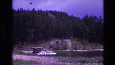 1974: complete view forest area beautiful water alongside zoom in towards rocks