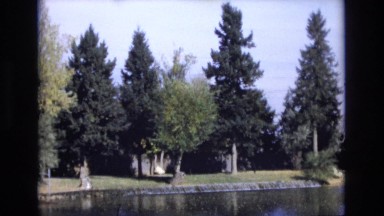 1967: quiet trees. COLORADO SPRINGS BROADMOR
