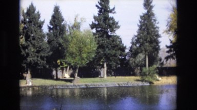 1967: trees on the bank of a river COLORADO SPRINGS BROADMOR