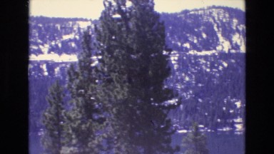 1966: White Christmas Time, Panning on Wild Winter Nature with Trees