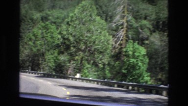 1965: driver's view of highway through mountains covered with conifer trees