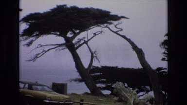 1965: park along the ocean. CENTRAL COAST CALIFORNIA