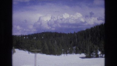 1966: dense forest of coniferous trees in the snowy mountain in the blue sky