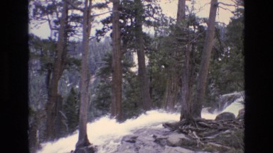 1966: beautiful rapids through the forest watched by tourists LAKE TAHOE NEVADA