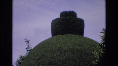 1969: Relaxing Tall Lawn Tree Sculpture Garden Spain