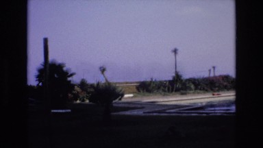 1969: cute tions in a beautiful pool SPAIN