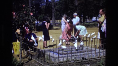 1969: white pigeons are swarming around people who are visiting a memorial