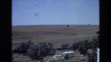 1972: a quiet meadow dotted with trees seen at daytime PORTUGAL