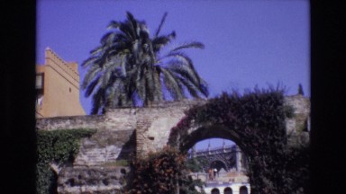 1972: Rustic Stone Archway Covered in Plants with Tourists