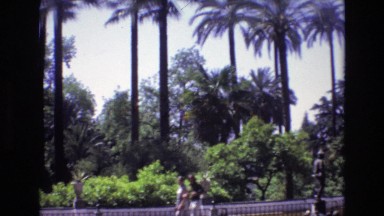 1972: people walking tall trees around beautiful weather, statue fence