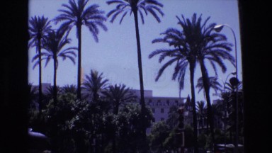 1972: view of a fine hotel and resort with massive palm trees in the foreground