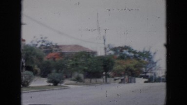1956: cars moving road trees alongside houses electric pole beautiful weather