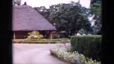 1956: a large thatched house with beautiful garden around CUBA