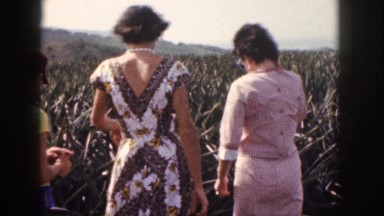 1961: women and boy looking at vegetation. HAWAII
