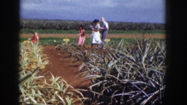 1961: family walking in garden during summer day HAWAII