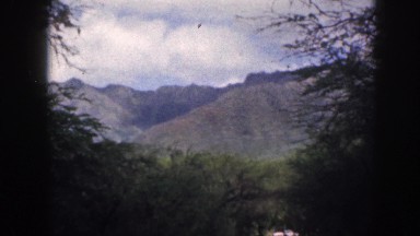 1961: a view of the forest and mountains with a car driving by HAWAII