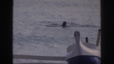 1961: man swimming ashore. HAWAII
