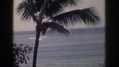 1961: coconut tree on the shore of the sea with a yacht HAWAII