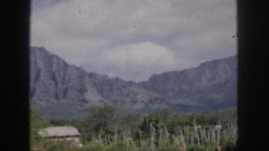 1961: wind blowing over a field. HAWAII
