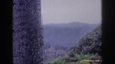 1961: panoramic view of mountains trees and gorgeous colorful flowers