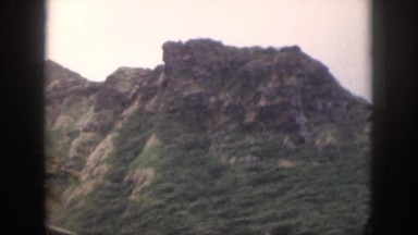 1961: a view of the mountains and palm trees HAWAII