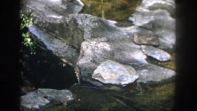 1958: River Rock Bed Flat with Pooled Water Standing in Hollows