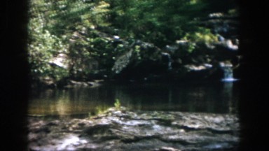 1958: an amazing stream flowing through the forest rich of greenery DAYTON OHIO